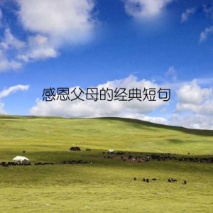 感恩父母的经典短句