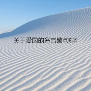 关于爱国的名言警句8字