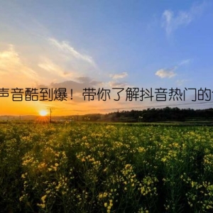 抖音声音酷到爆！带你了解抖音热门的句子！
