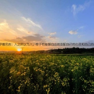 弗洛伊德名言：人之所以为人，在于他能够自由地支配自己的心灵和自己的行动。
