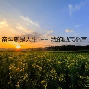 奋斗就是人生 -- 我的励志格言