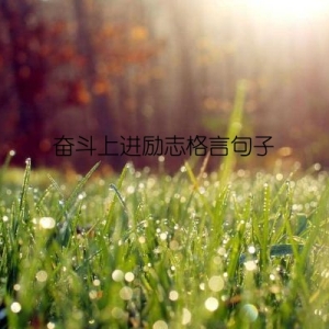 奋斗上进励志格言句子