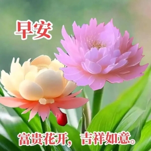 5月25早安美好图文！每个早晨问候你好心情祝福健康幸福唯美句子
