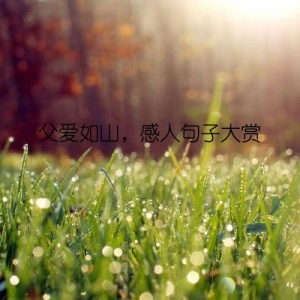 父爱如山，感人句子大赏