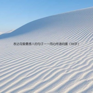 表达母爱最感人的句子——用心传递的暖（500字）