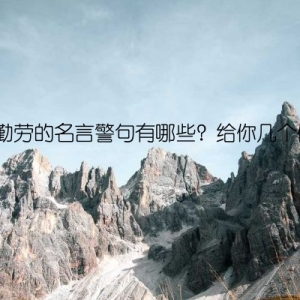 关于勤劳的名言警句有哪些？给你几个例子。