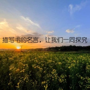 描写书的名言，让我们一同探究
