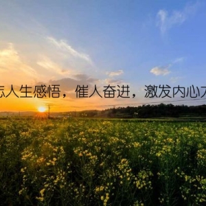 励志人生感悟，催人奋进，激发内心力量