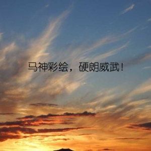 马神彩绘，硬朗威武！