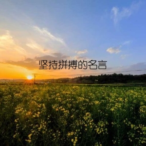 坚持拼搏的名言