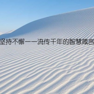 坚持不懈——流传千年的智慧箴言