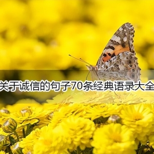 关于诚信的句子70条经典语录大全