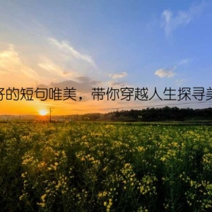 美好的短句唯美，带你穿越人生探寻美好
