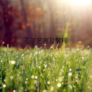 孔子名言及解释