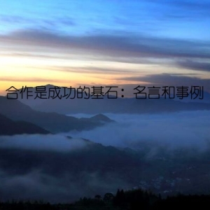 合作是成功的基石：名言和事例