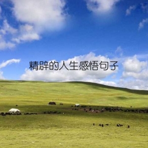 精辟的人生感悟句子