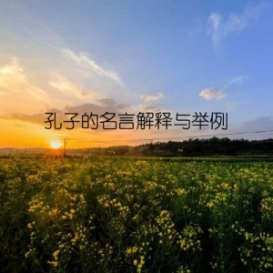孔子的名言解释与举例