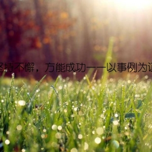 坚持不懈，方能成功——以事例为证