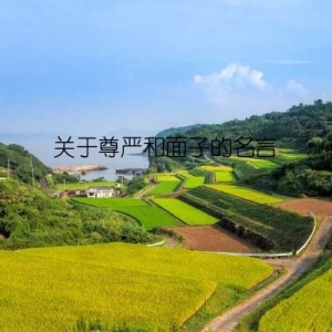 关于尊严和面子的名言