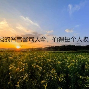 坚强的名言警句大全，值得每个人收藏！