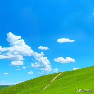 10句适合五月最后一天发朋友圈的高级文案