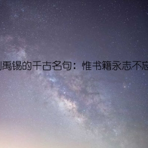 刘禹锡的千古名句：惟书籍永志不忘。