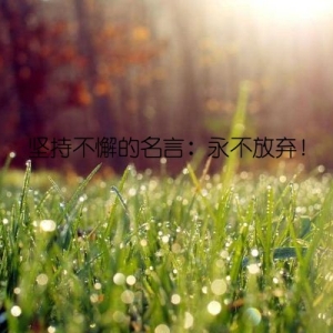 坚持不懈的名言：永不放弃！