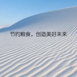节约粮食，创造美好未来