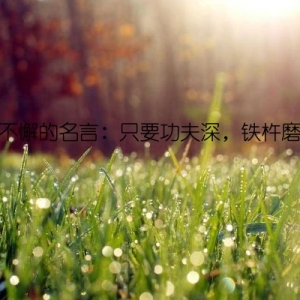 坚持不懈的名言：只要功夫深，铁杵磨成针