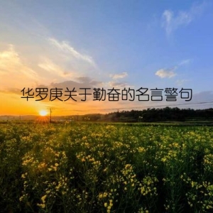 华罗庚关于勤奋的名言警句