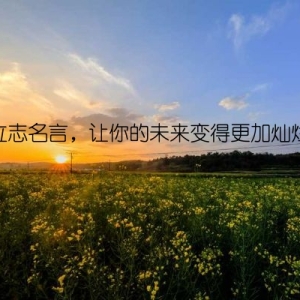 立志名言，让你的未来变得更加灿烂