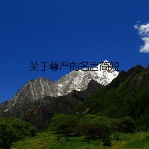 关于尊严的名言简短