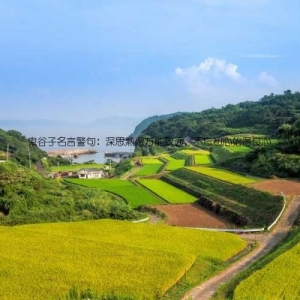 鬼谷子名言警句：深思熟虑方能致远，不忘初心始得良心