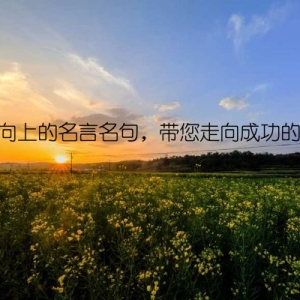 积极向上的名言名句，带您走向成功的道路