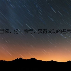 坚定目标，努力前行，获得成功的名言集锦