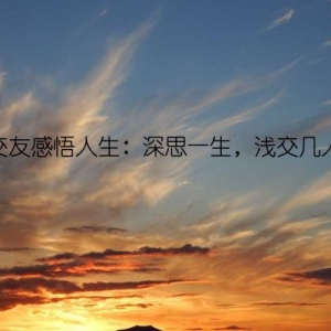 交友感悟人生：深思一生，浅交几人