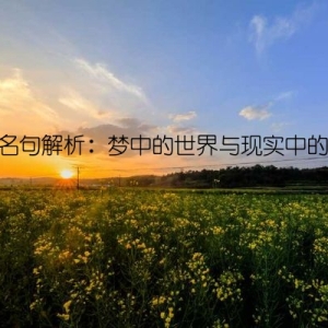 经典名句解析：梦中的世界与现实中的世界