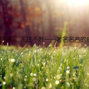坚持不懈，无往不胜——著名名言的启示