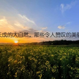 浑然天成的大自然，那些令人赞叹的美丽画面
