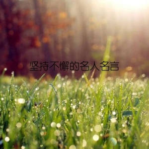 坚持不懈的名人名言