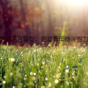 理想的名言警句：启迪青年奋斗的力量