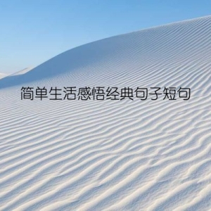 简单生活感悟经典句子短句