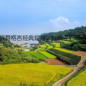老师教育格言经典短句，让孩子们倍感温馨