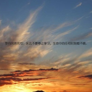 罗丹名言名句：永远不要停止学习，生命中的任何时刻都不晚。