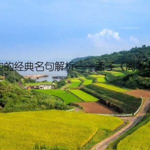 孟子中的经典名句解析——孟子《离娄上》篇