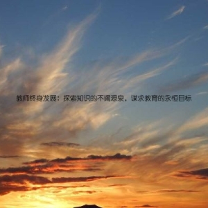 教师终身发展：探索知识的不竭源泉，谋求教育的永恒目标