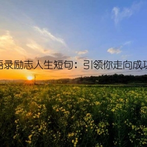经典语录励志人生短句：引领你走向成功的路