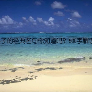 孔子的经典名句你知道吗？500字解读！