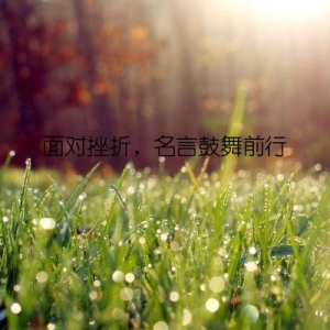 面对挫折，名言鼓舞前行
