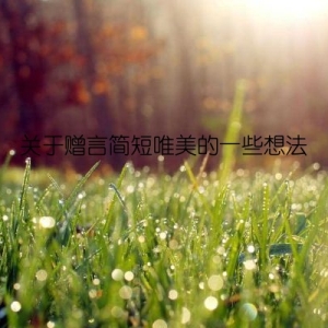 关于赠言简短唯美的一些想法